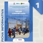 ficha informativa salud comunitaria el agustino